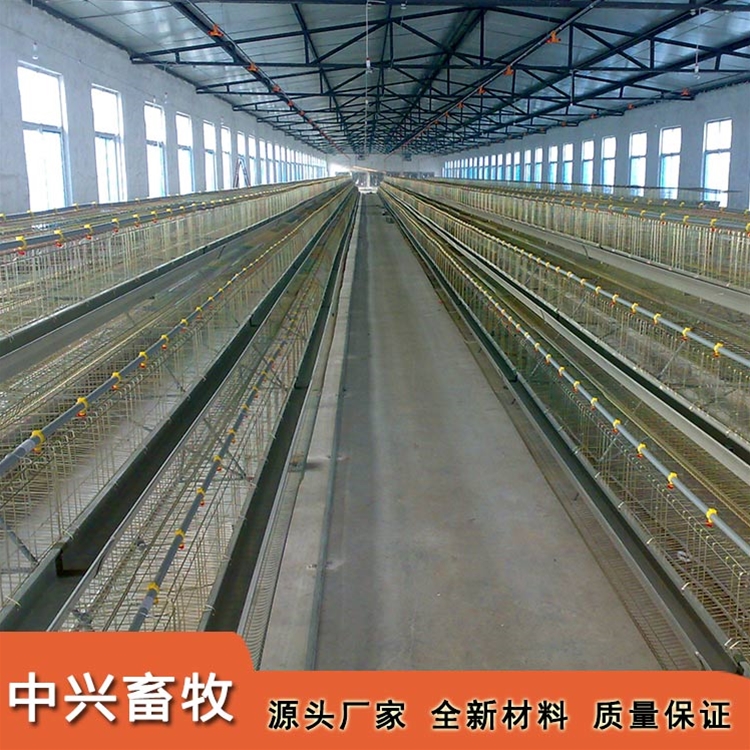 育雛育成雞籠