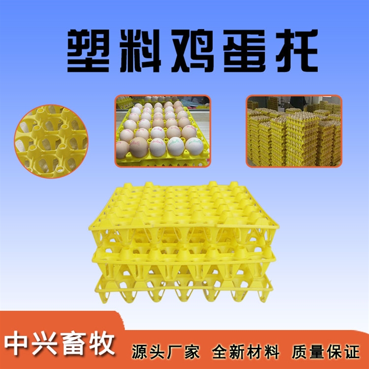 塑料雞蛋托